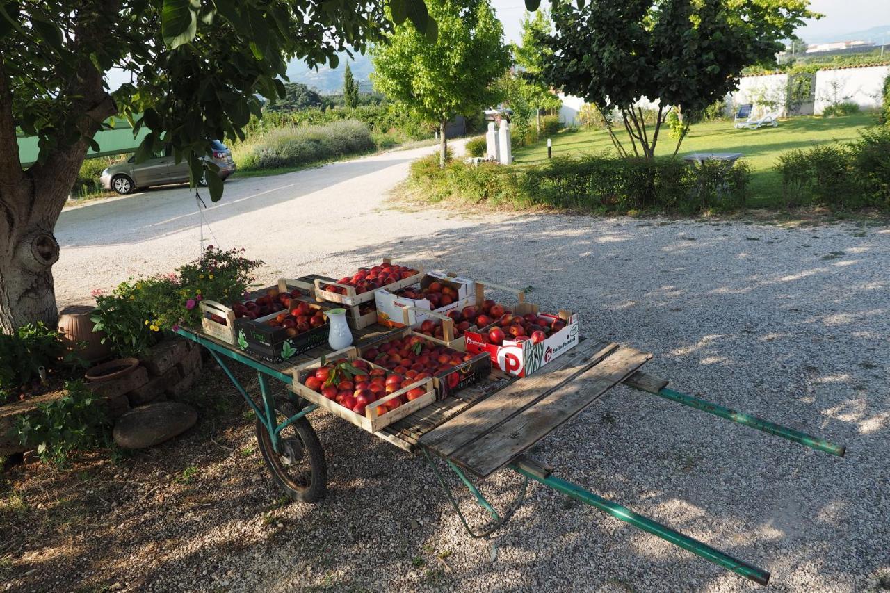Agriturismo Fior Di Maggio Пескантіна Екстер'єр фото