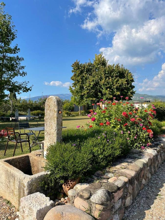Agriturismo Fior Di Maggio Пескантіна Екстер'єр фото
