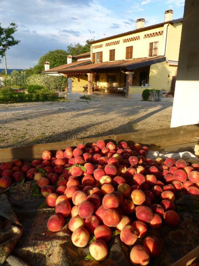Agriturismo Fior Di Maggio Пескантіна Екстер'єр фото